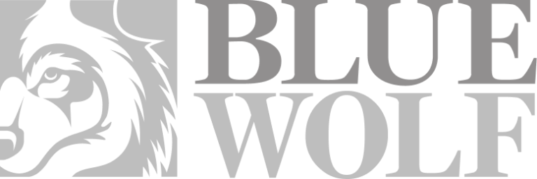 Blue Wolf Capital logo, supported by Flexible IT's technology solutions for private equity firms