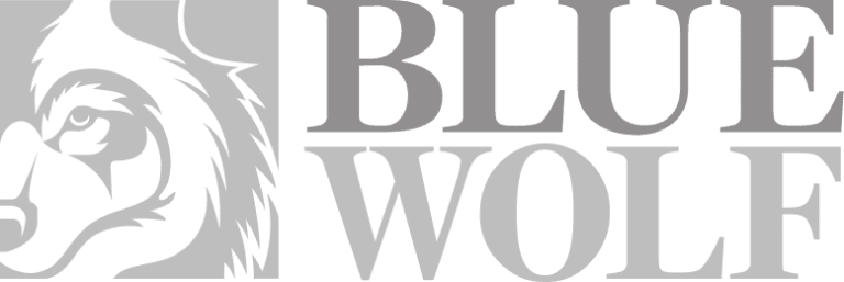 Blue Wolf Capital logo, supported by Flexible IT's technology solutions for private equity firms